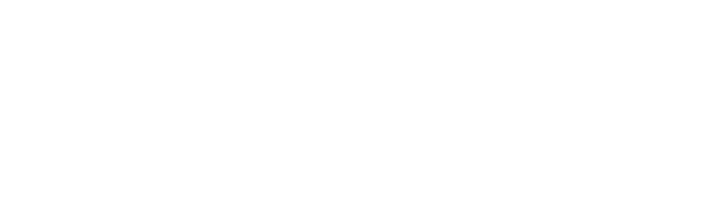 logo najpi blanc